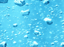 水溶性プロテオグリカン(保湿)