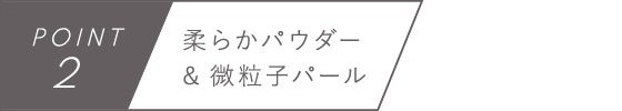 POINT2　柔らかパウダー&微粒子パール